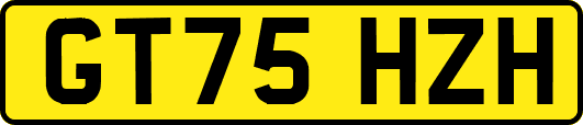 GT75HZH