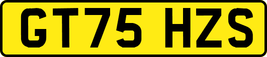 GT75HZS