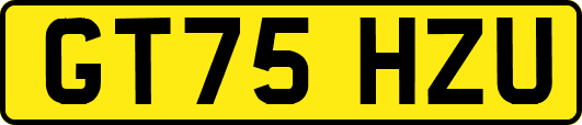 GT75HZU