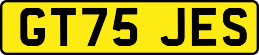 GT75JES