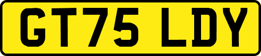 GT75LDY