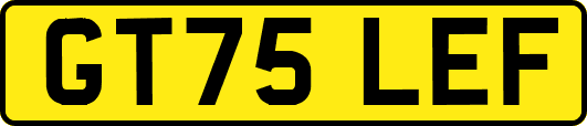 GT75LEF
