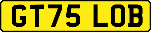GT75LOB