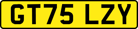GT75LZY