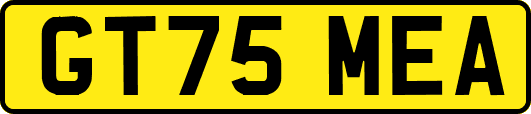 GT75MEA