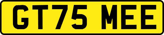 GT75MEE