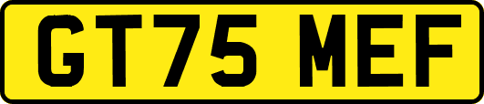 GT75MEF