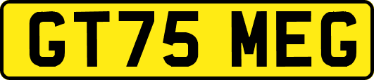 GT75MEG