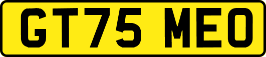 GT75MEO