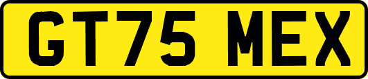 GT75MEX