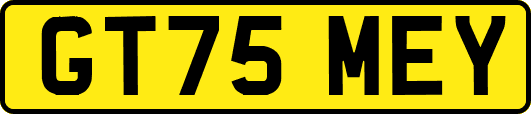 GT75MEY