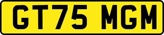 GT75MGM