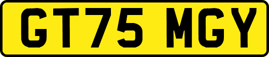 GT75MGY