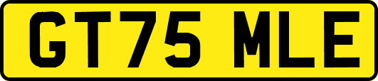 GT75MLE