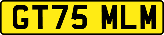 GT75MLM