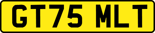 GT75MLT