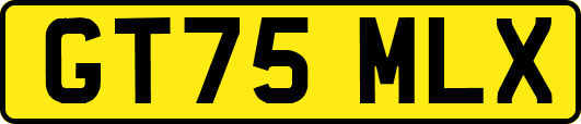 GT75MLX