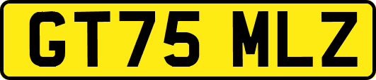 GT75MLZ