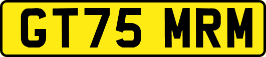 GT75MRM