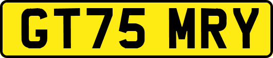 GT75MRY