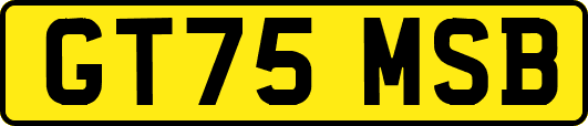 GT75MSB