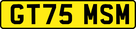 GT75MSM