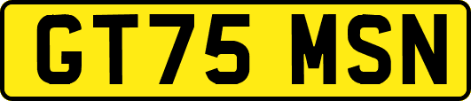 GT75MSN