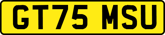 GT75MSU