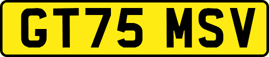 GT75MSV