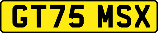 GT75MSX
