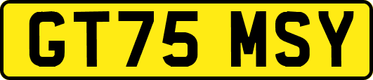 GT75MSY