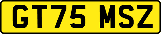 GT75MSZ