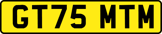 GT75MTM