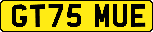 GT75MUE