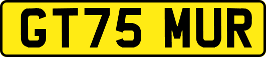 GT75MUR