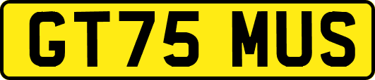 GT75MUS