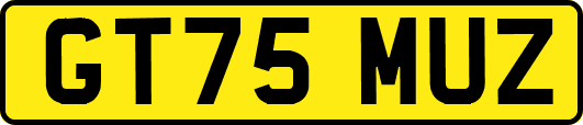 GT75MUZ
