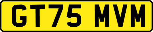 GT75MVM