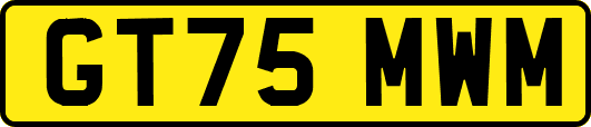 GT75MWM