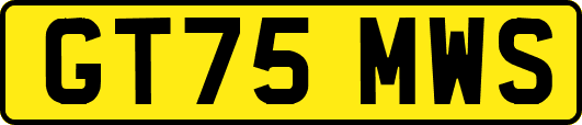 GT75MWS