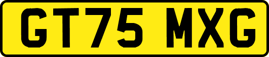 GT75MXG