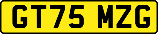 GT75MZG