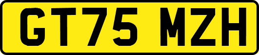 GT75MZH