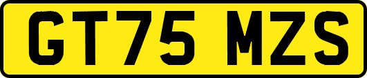 GT75MZS