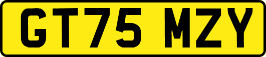 GT75MZY