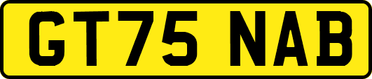 GT75NAB
