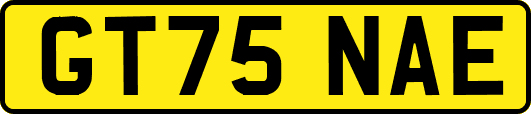 GT75NAE