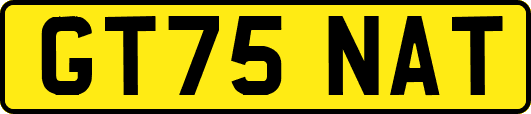 GT75NAT
