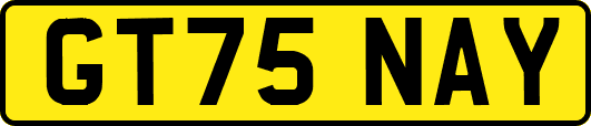 GT75NAY