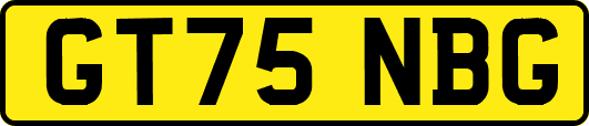 GT75NBG
